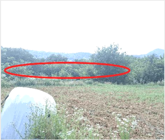 �� 10-ȫ���� ��õ�� ������-��