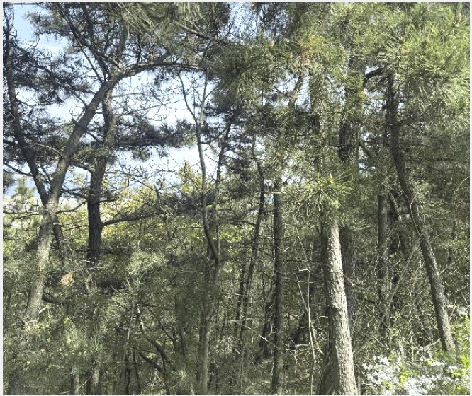 �Ӿ� 5-����� ����� ȭ�-�Ӿ�