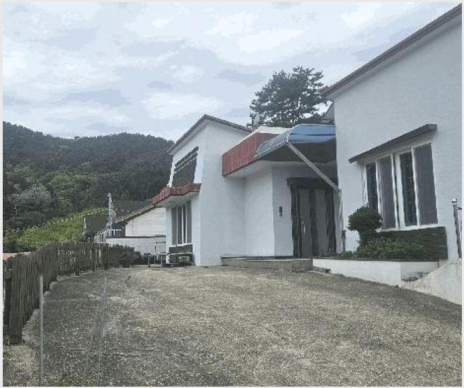 ���� 7-�뿵�� ����� ������-����