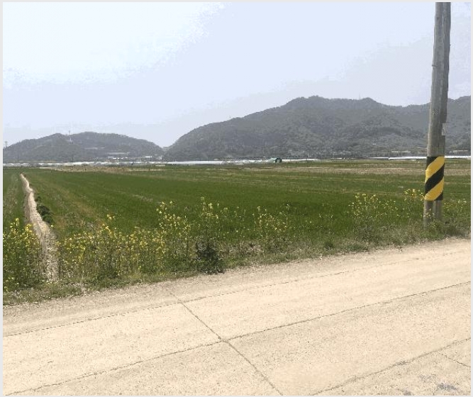 �� 6-�о�� �󳲸� ���ݸ�-��