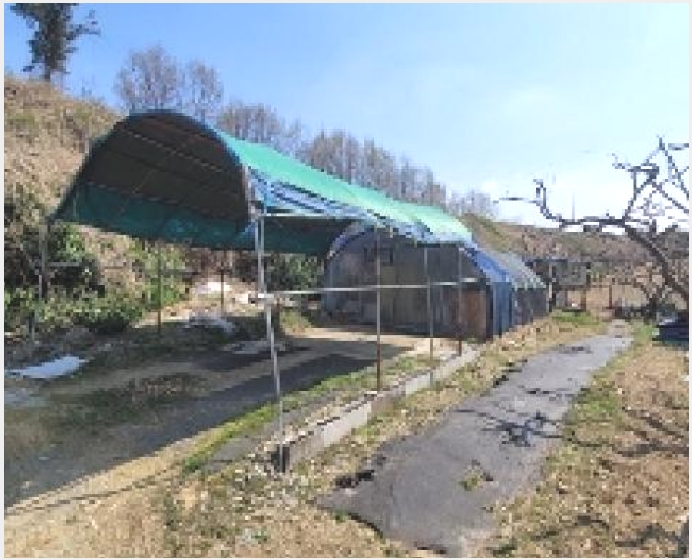 ���� 5-�Ծȱ� ĥ���� �뼺��-����