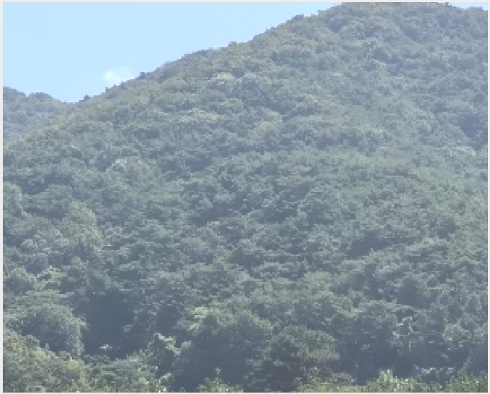 �Ӿ� 4-ȭ���� ���� ��ȣ��-�Ӿ�