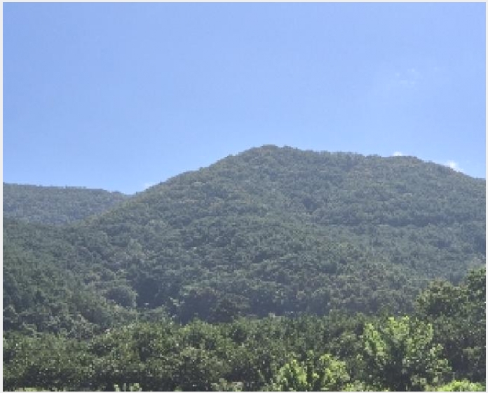 �Ӿ� 9-ȭ���� ���� ��ȣ��-�Ӿ�