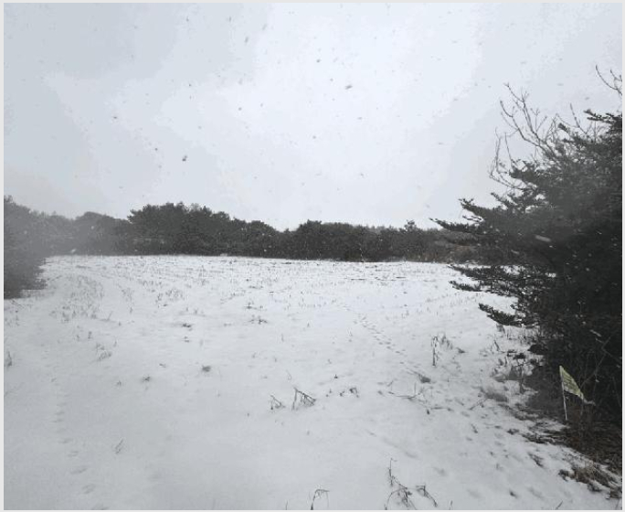 �Ӿ� 7-�������� ������ ��޸�-�Ӿ�