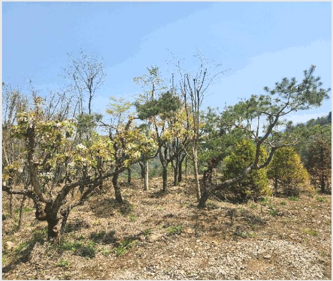 �Ӿ� 8-���� û��� �뼺��-�Ӿ�
